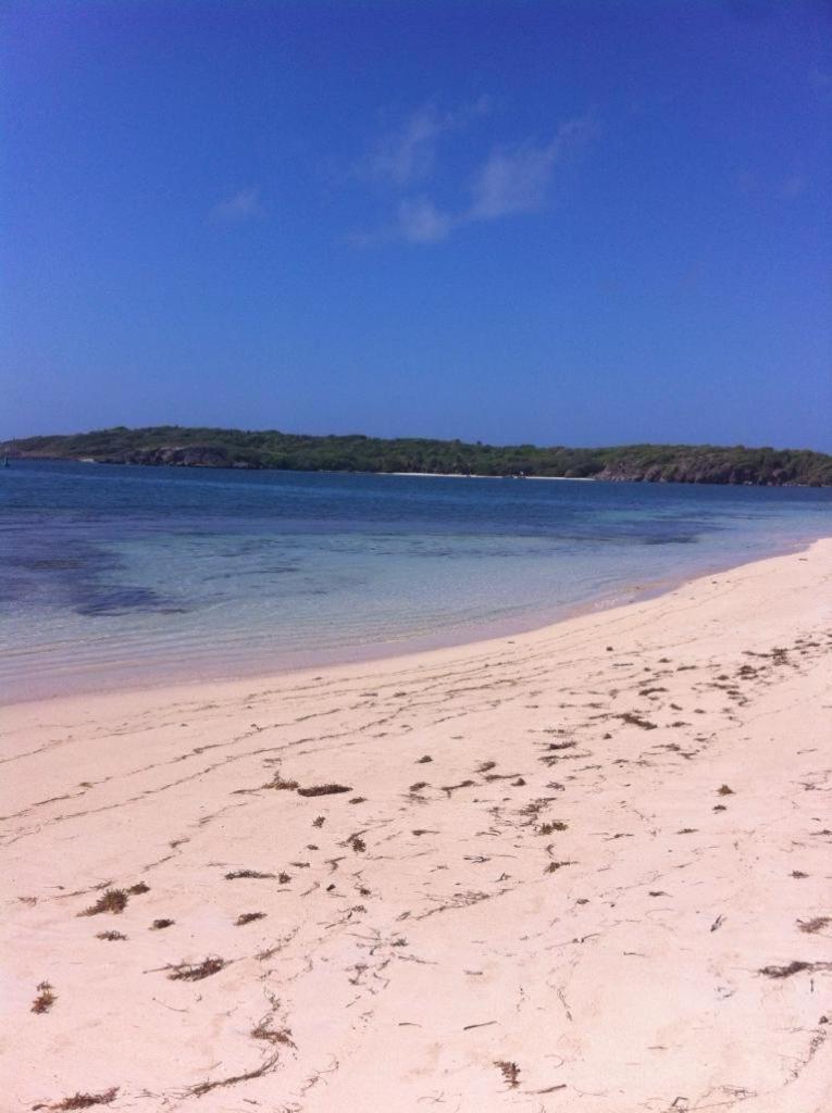 Villa Entre Ciel Et Mer Sainte-Anne Buitenkant foto